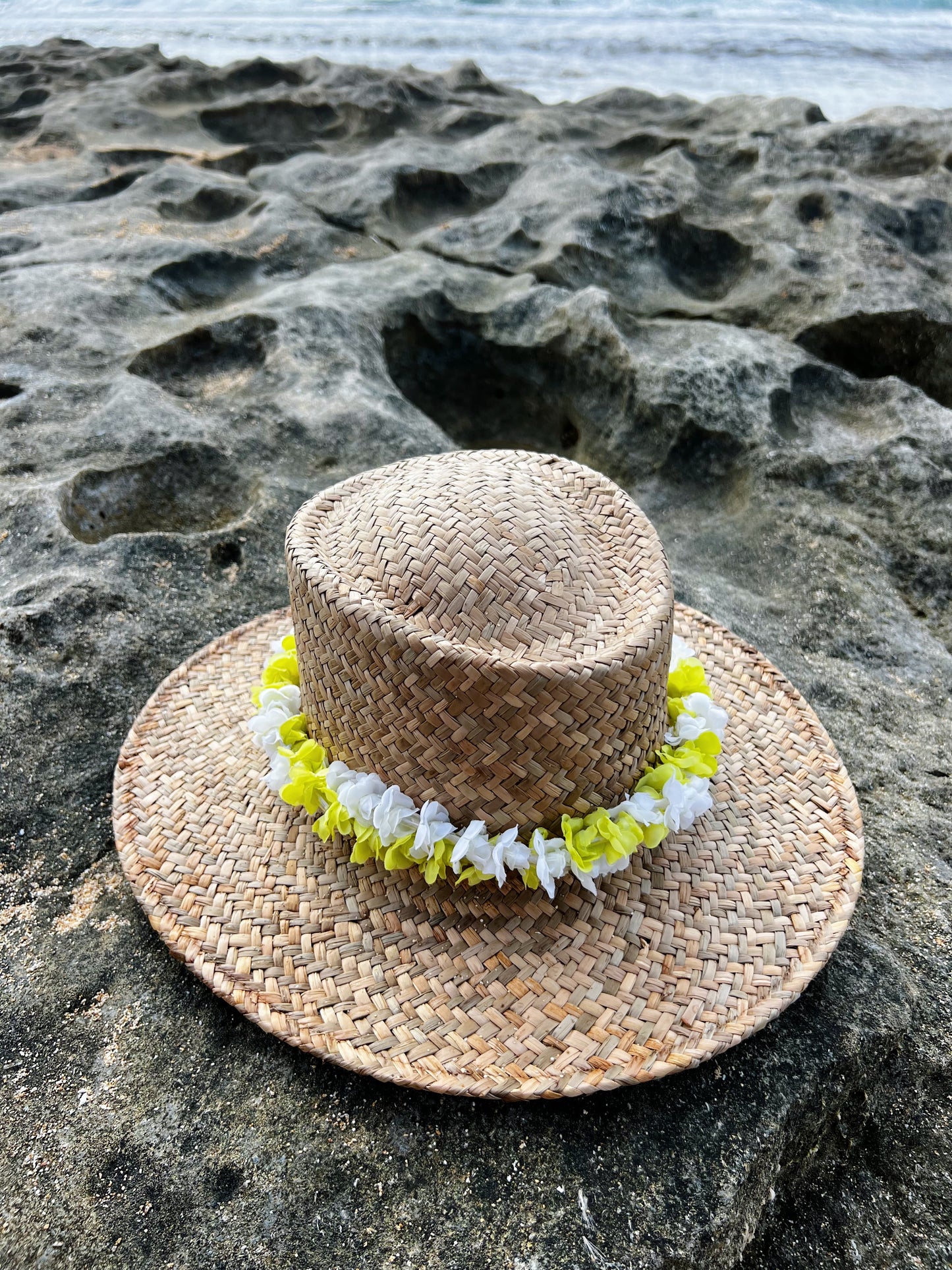 Lei pāpale bands
