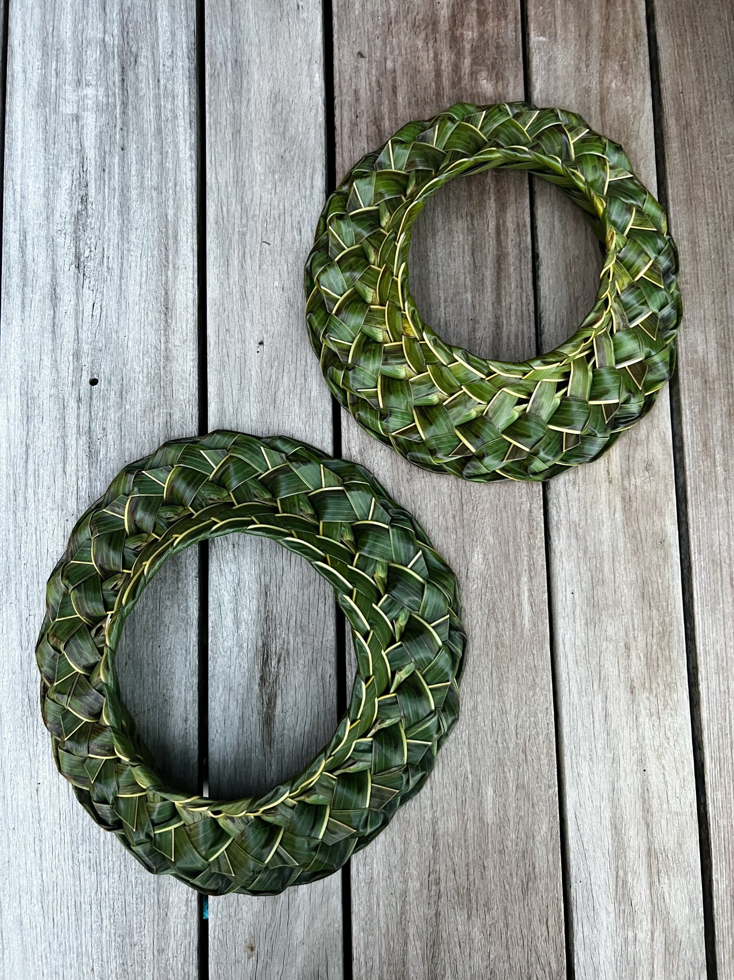 Petite brim pāpale niu